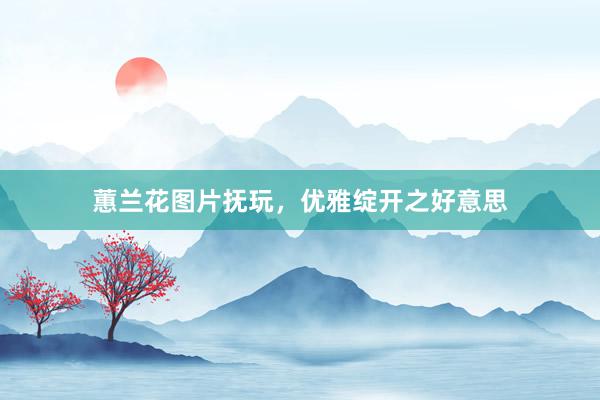 蕙兰花图片抚玩，优雅绽开之好意思