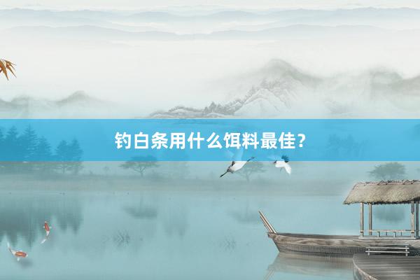 钓白条用什么饵料最佳？