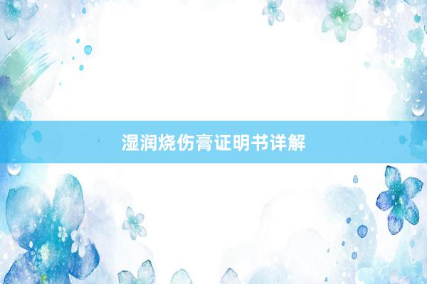 湿润烧伤膏证明书详解