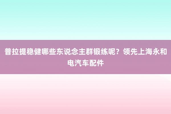 普拉提稳健哪些东说念主群锻练呢？领先上海永和电汽车配件